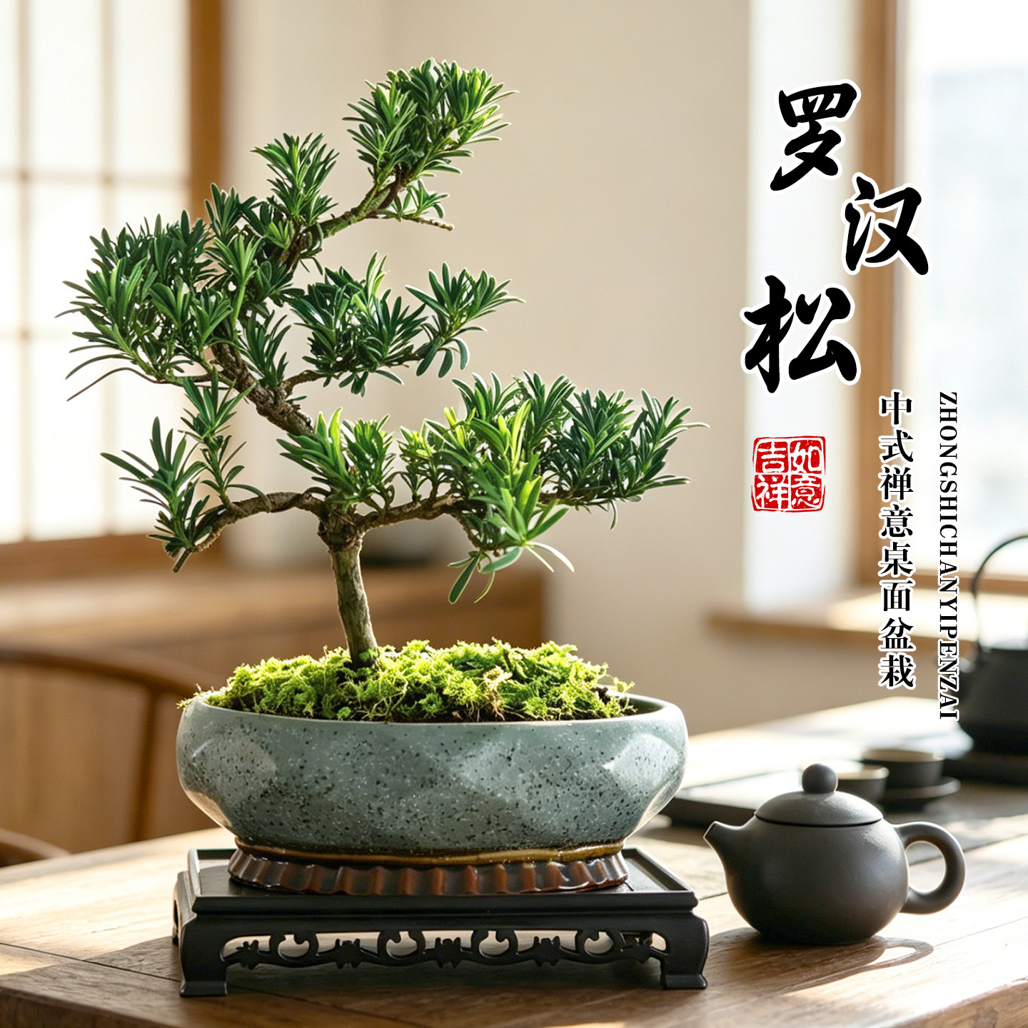 罗汉松盆景室内高端造型创意盆栽植物好养易活茶几绿植办公室花卉