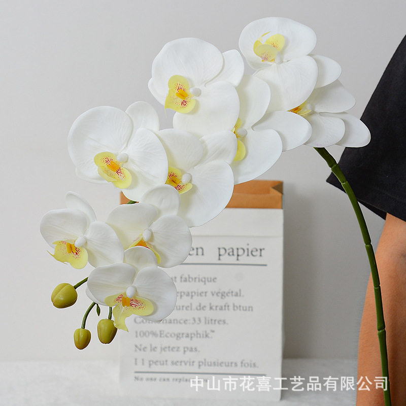 9头3D蝴蝶兰仿真花胶片手