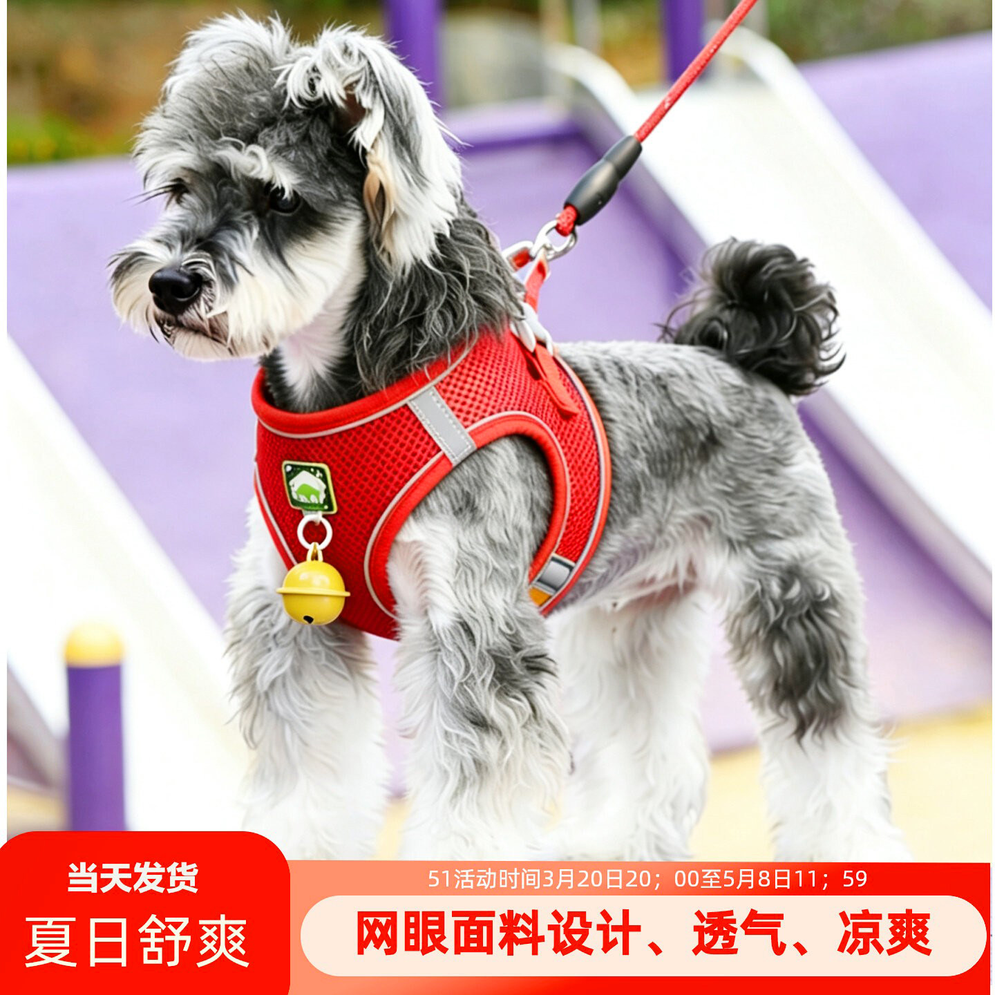 背心式小型犬狗狗牵引绳比熊泰迪雪纳瑞小狗幼犬夏季透气胸背带