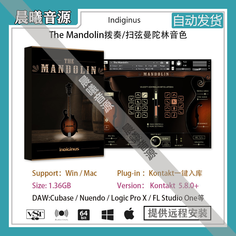 TheMandolin独奏扫弦曼陀林