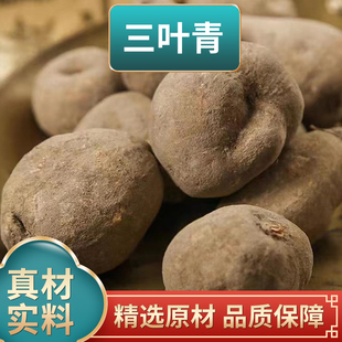 三叶青片正品新鲜晒干货金线吊葫芦石猴子丝线吊金钟煮水泡水