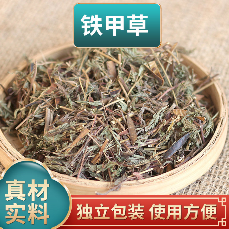 铁甲草 软肝草中药材原材料独立包装新货含羞草煮水泡水