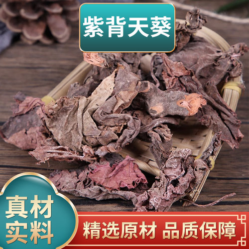 紫背天葵中药材500g克红水葵红天葵血皮两色三七草红背菜煮水泡水