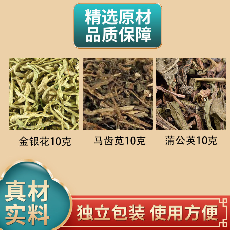 金银花马齿苋蒲公英组合