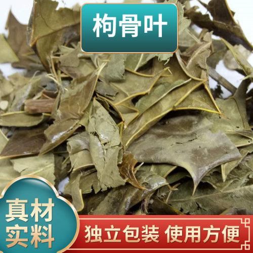 枸骨叶功劳叶羊角刺狗骨眼原材料独立包装煮水泡水一袋10副