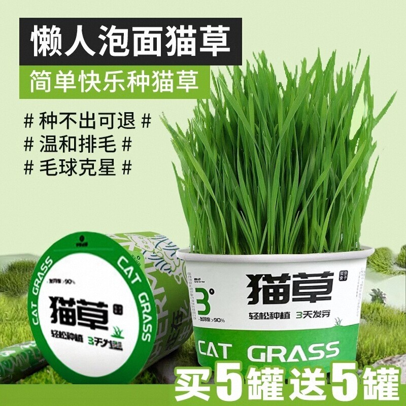 猫咪懒人泡面猫草宠物用品盆栽小猫专用化毛温和排毛非薄荷冻干幼
