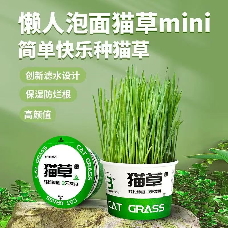 【排毛助消化】懒人泡面猫草