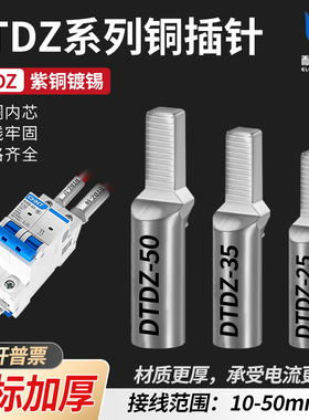 国标堵油DTDZ铜插针10 16 25 35鸭嘴鼻子DZ47空开C45断路器 光伏