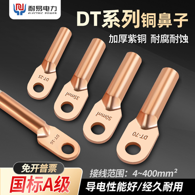 DT铜鼻子接线端子镀锡堵油铜接头电线铜线鼻子10/16/25平方铜线耳