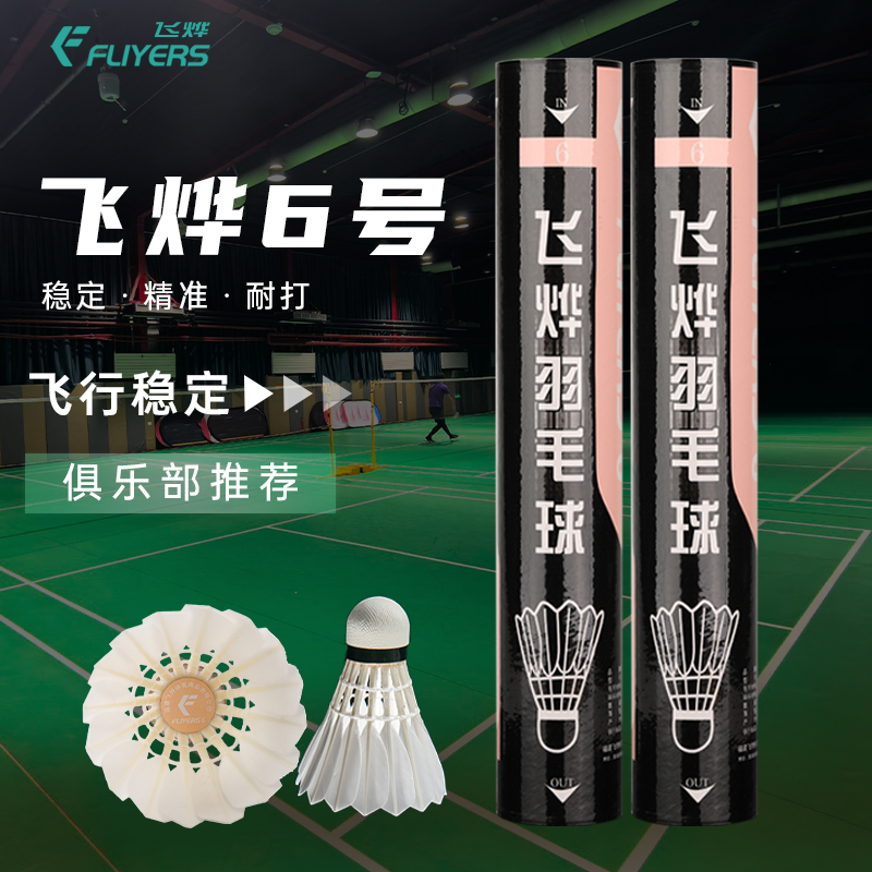 飛燁6號羽毛球專業訓練比賽用球