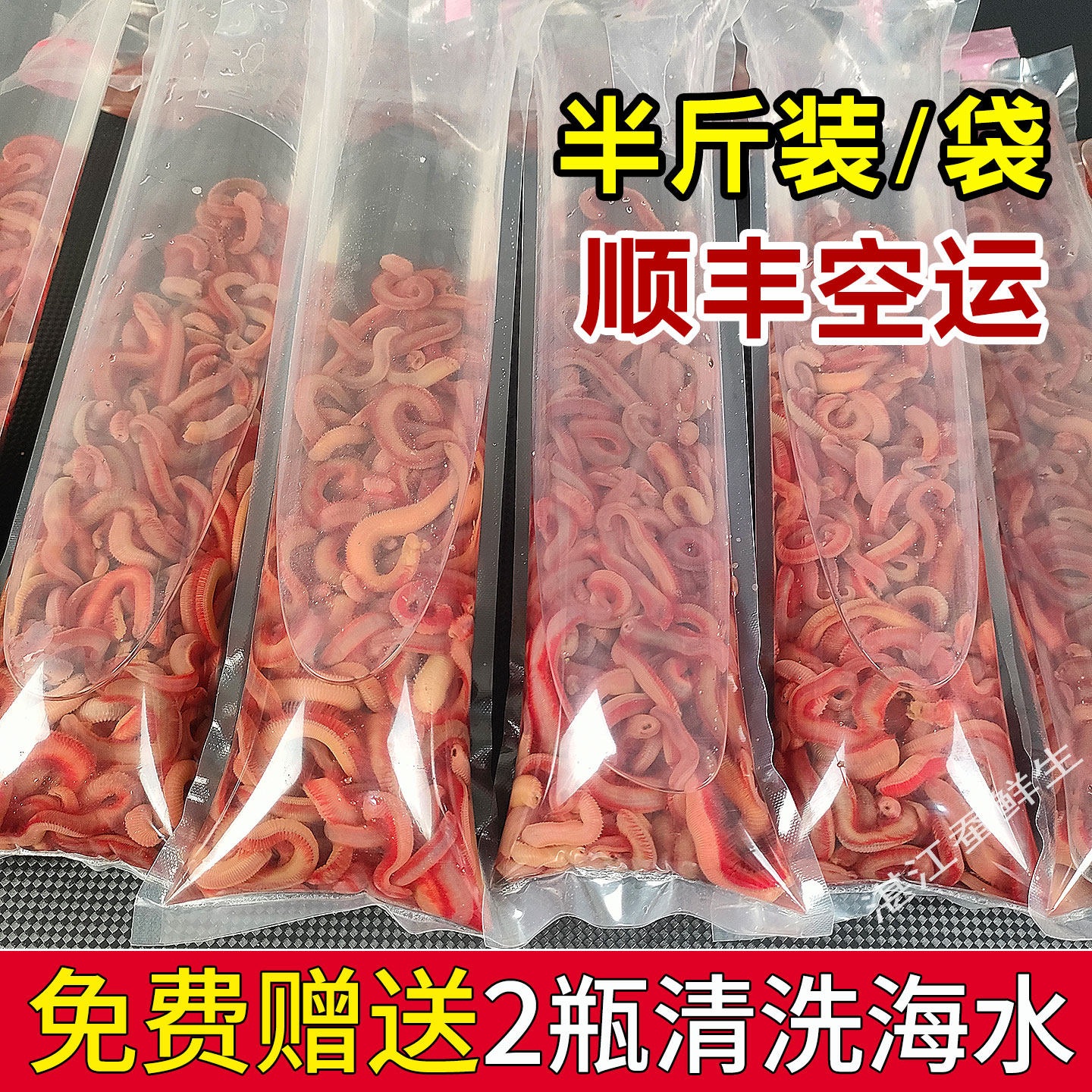 鲜活现挖海鱼活饵海钓血虫红虫钓鱼虫赤虫船钓海虫湛江钓鱼专用虫