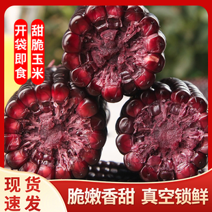 云南水果玉米开袋即食黑紫鲜玉米段代餐早餐新鲜甜脆即食黑玉米棒
