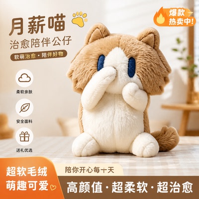 玩偶生日礼物月薪猫超萌精致超软猫可爱毛绒R特别动物治愈系陪伴