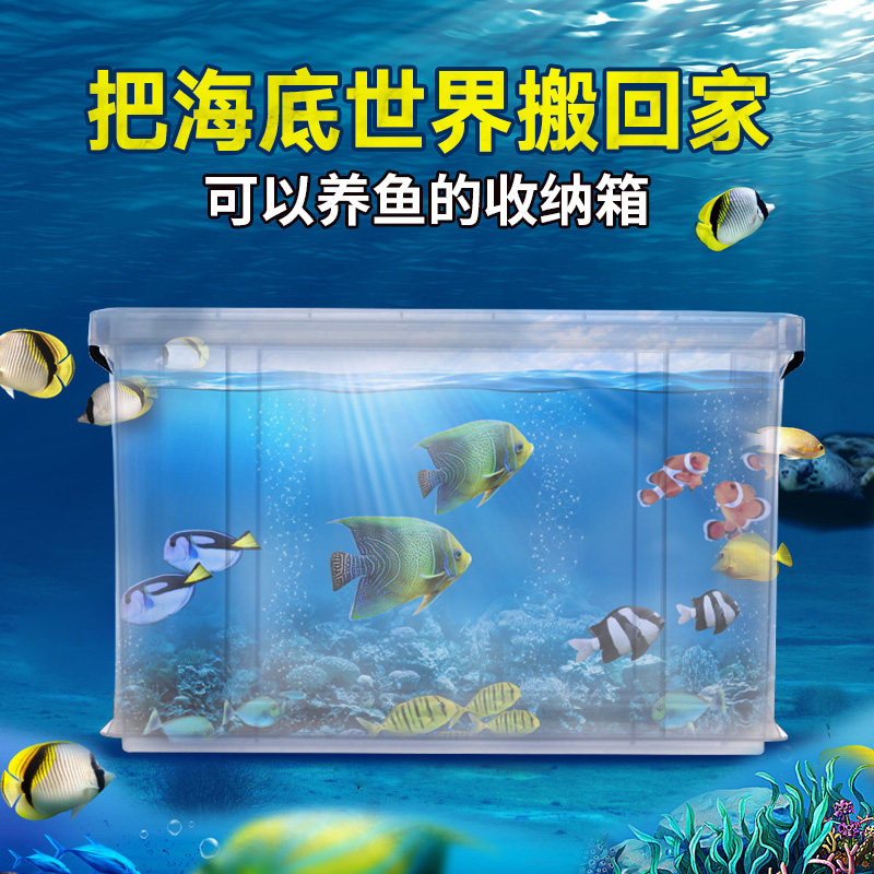 pp塑料透明水箱养鱼箱大号长方形家用养殖龟箱整理箱养宠物的箱子