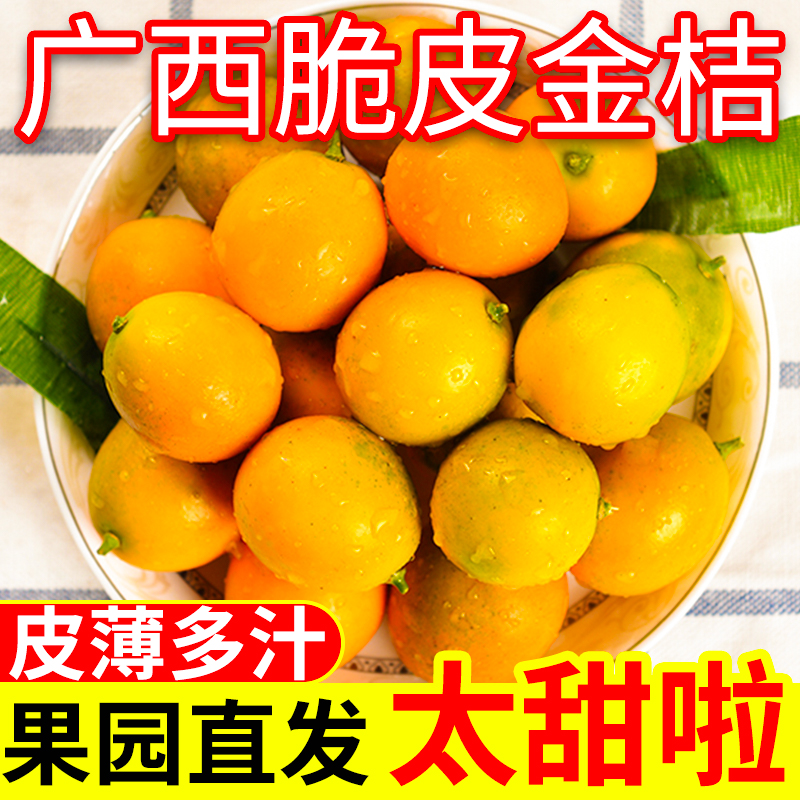 脆皮糖心小金桔脆甜多汁约100颗