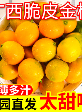 桂林脆皮金桔现摘新鲜水果纯甜不酸冰糖心广西小金桔100颗