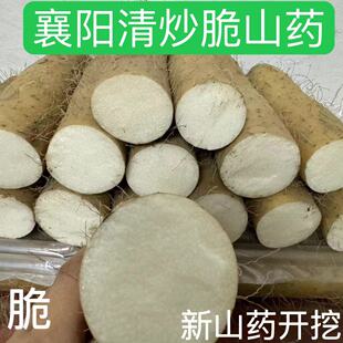 2025襄阳清炒脆山药新鲜粗大山药菜山药新鲜现挖现发非铁棍山药