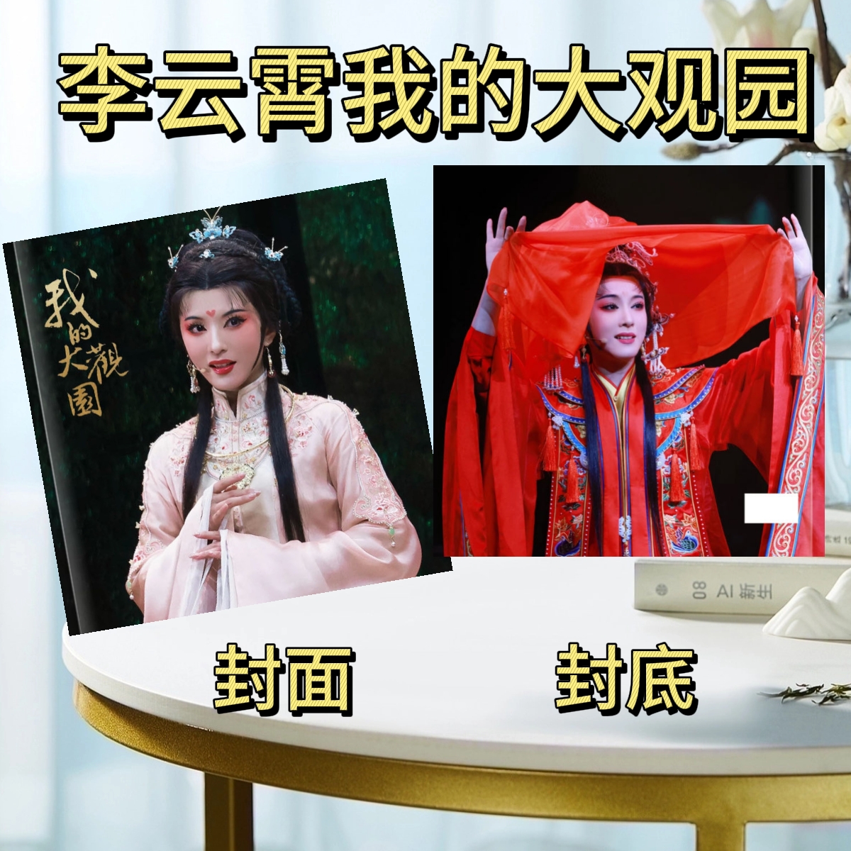 陈丽君李云霄我的大观园写真集纪念册