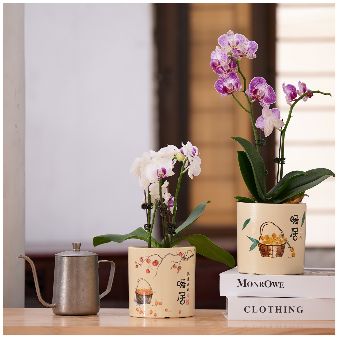 陶瓷花盆中国风中式喜庆家用客厅桌面蝴蝶兰杜鹃茉莉盆栽送托盘,鲜花速递/花卉仿真/绿植园艺,花盆,淘宝优惠券,粉丝福利购,淘宝优惠卷