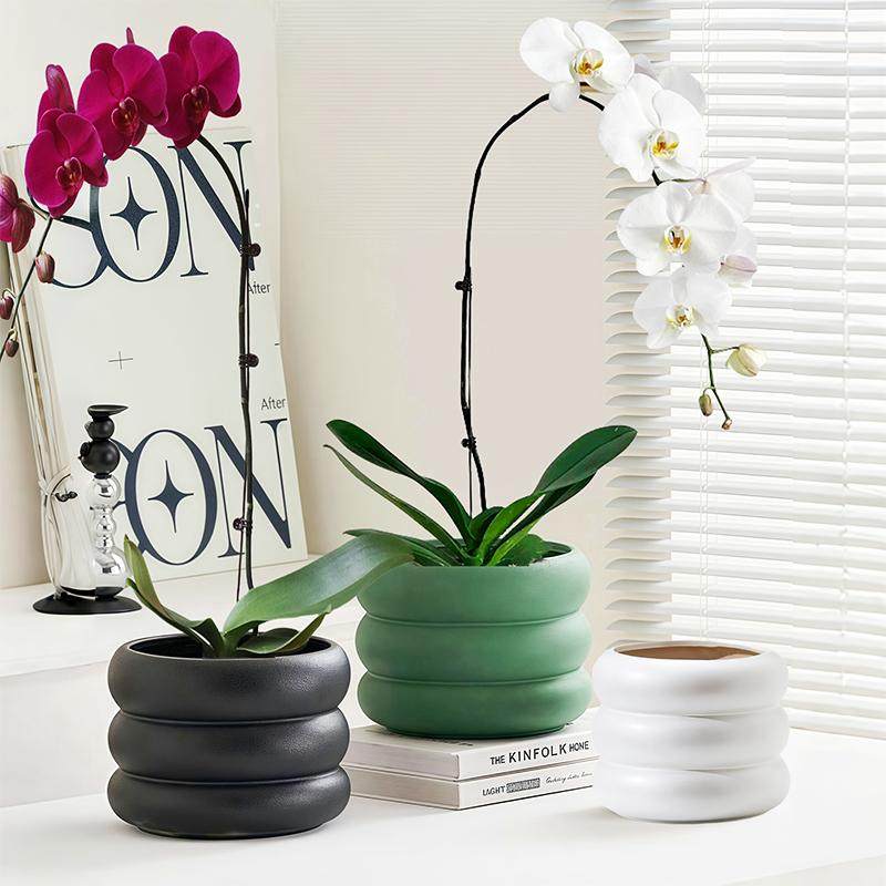 花盆陶瓷绿植现代简约多巴胺莫兰迪甜甜圈阳台桌面多肉蝴蝶兰盆栽,鲜花速递/花卉仿真/绿植园艺,花盆,淘宝优惠券,粉丝福利购,淘宝优惠卷