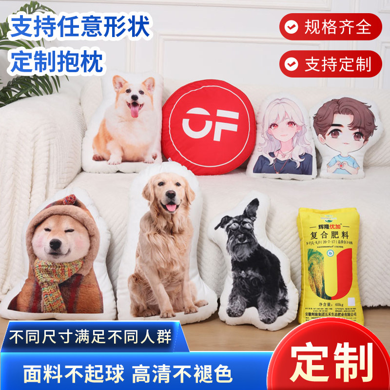 丑猫抱枕定制可印照片来图定做异形玩偶宠物枕头动物真人礼物靠枕