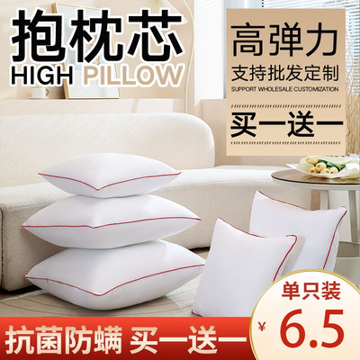 内胆沙发抱枕芯亿柏莱靠垫