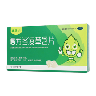 王屋山复方冬凌草含片0.6克*24片清热解毒利咽消肿急慢性扁桃体炎