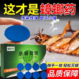 蟑螂药饵家用一庭端强饭店厕所厨房酒店医院专灭除杀蟑虫卵双杀效