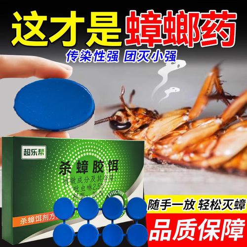 蟑螂药饵家用一庭端强饭店厕所厨房酒店医院专灭除杀蟑虫卵双杀效