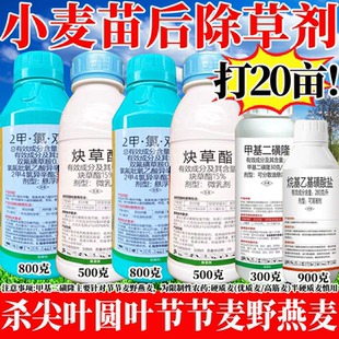 小麦田苗后专用除草烂根剂大包装打20亩节节麦野燕麦多花黑麦草药