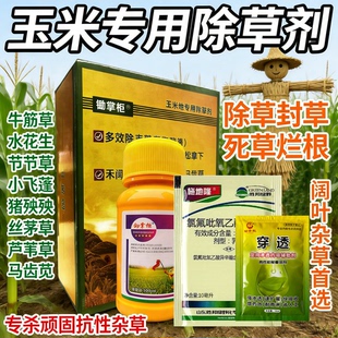 25%硝磺草酮莠去津玉米专用除草剂春夏玉米田水花生刺儿菜圆叶药