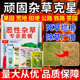 二甲草甘膦铵盐除草烂根剂禾阔双除水花生节节草牛筋草香附子克星