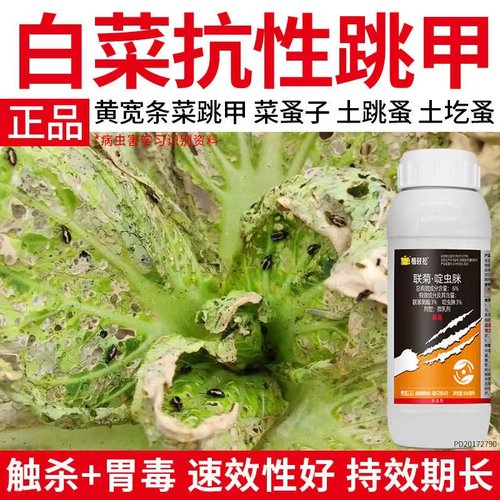 白菜杀虫剂跳甲特效药白粉虱跳蚤