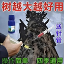 环嗪哃烂根专用药强力除树剂强力腐树根树枯死正品 酮除草剂