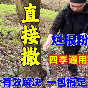 一大扫光 环嗪哃树烂根专用药杀树除树一滴死强力除草烂根剂正品