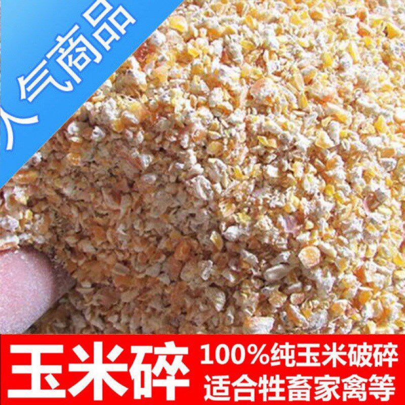 速发饲料玉米可装鸡品料碎粒新鲜低价新饲打窝斤批特惠国鸽子喂鸡