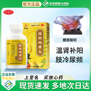 桂附地黄丸正品尿频尿急夜尿多小便次数多男漏尿专药用女吃什么药