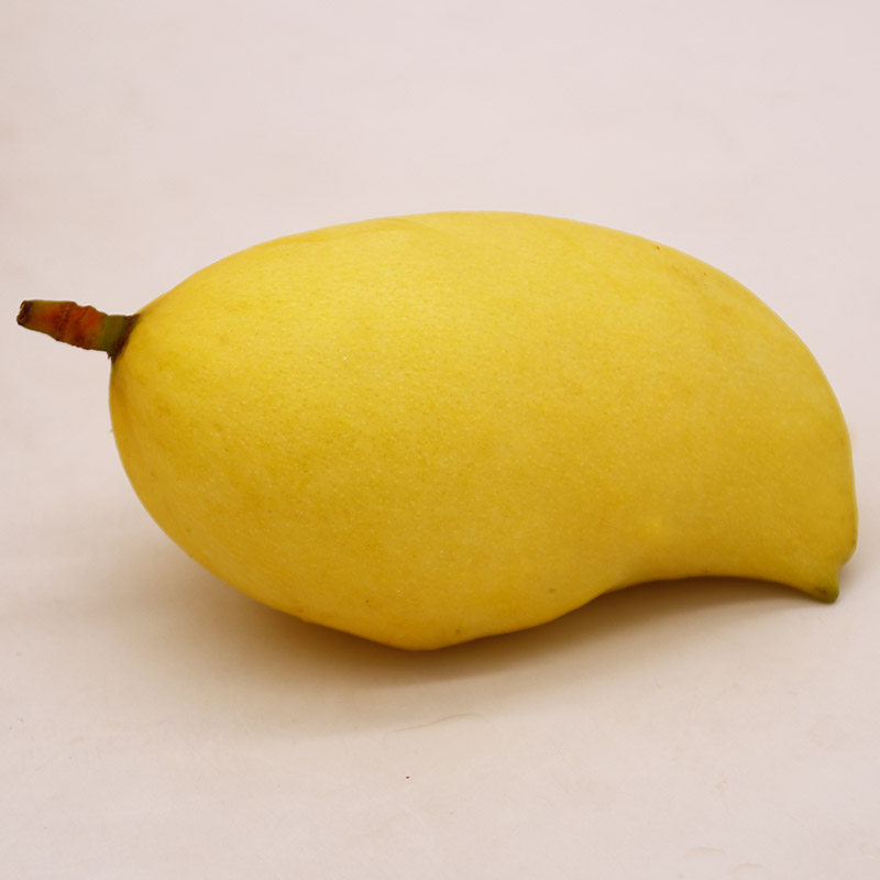 博毅农庄云南保山潞江坝鹰嘴芒果当季新鲜现摘发大果带箱8斤以上