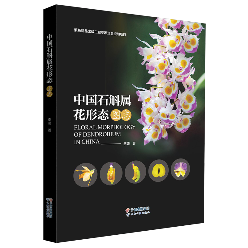 中国石斛属花形态图志