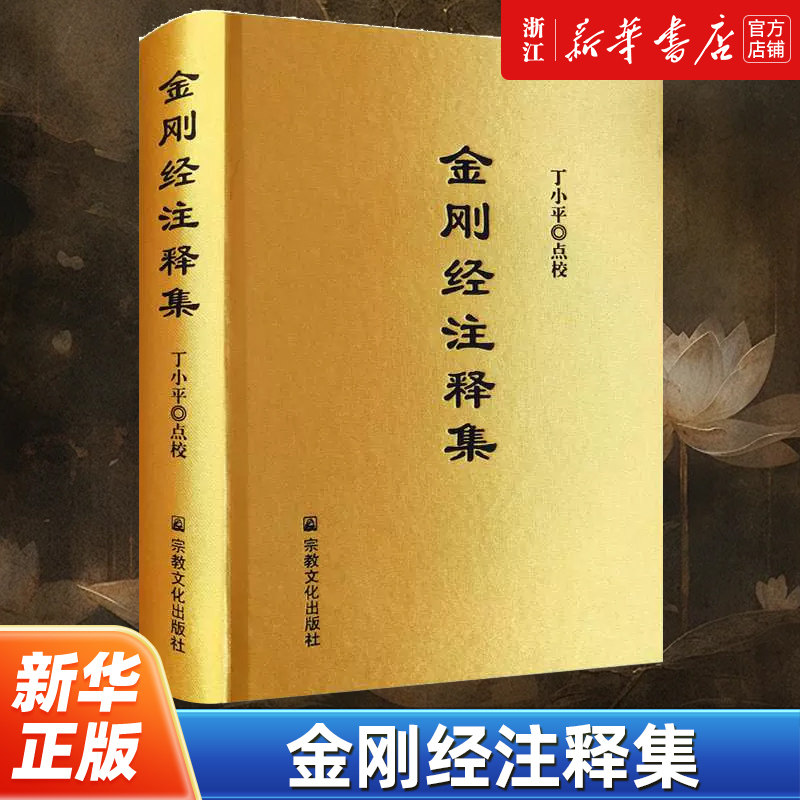 金刚经注释集 将《金刚经》的各种注释集合集在一起做了现代化的整理工作 金刚般若波罗蜜经佛教十三经系列书籍