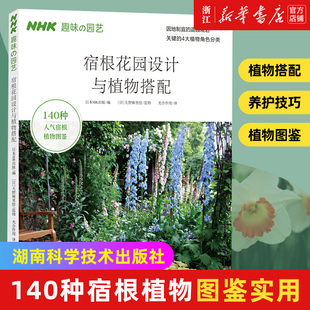 包邮 宿根花园设计与植物搭配 140种宿根植物图鉴实用 花园四季 正版 因地制宜搭配宿根植物让你 花开不败 新华书店旗舰店官网