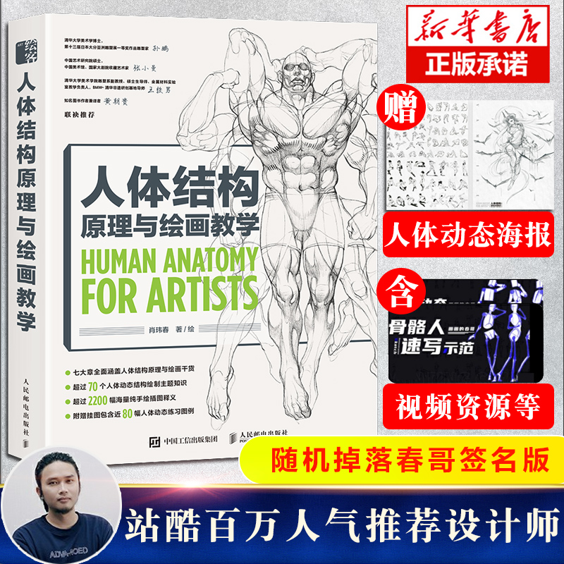物结构造型绘画零基础入门自学教材临摹本