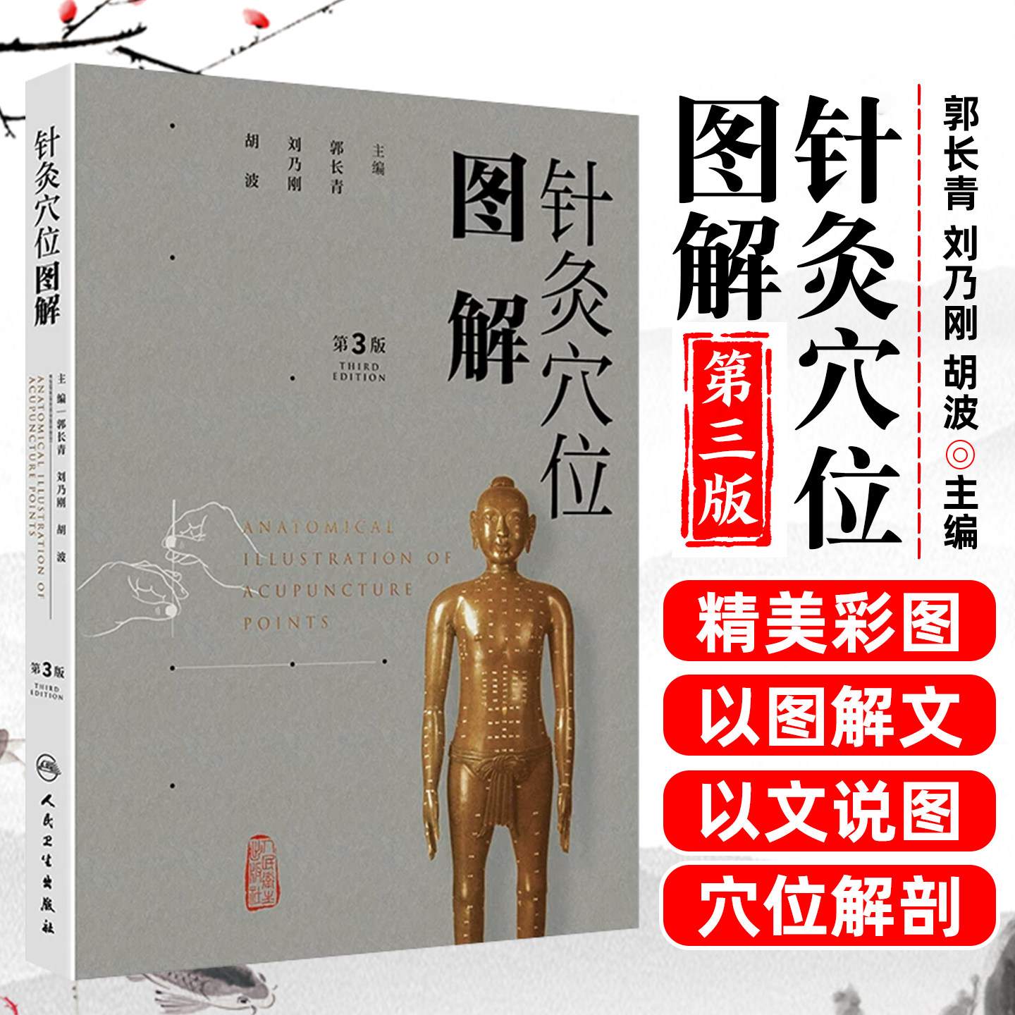 针灸穴位图解 第3版郭长青中医针灸入门全身通用基础经络腧穴学取配穴彩图谱中医推拿按摩养生书籍人民卫生出版社人体经络图解教材