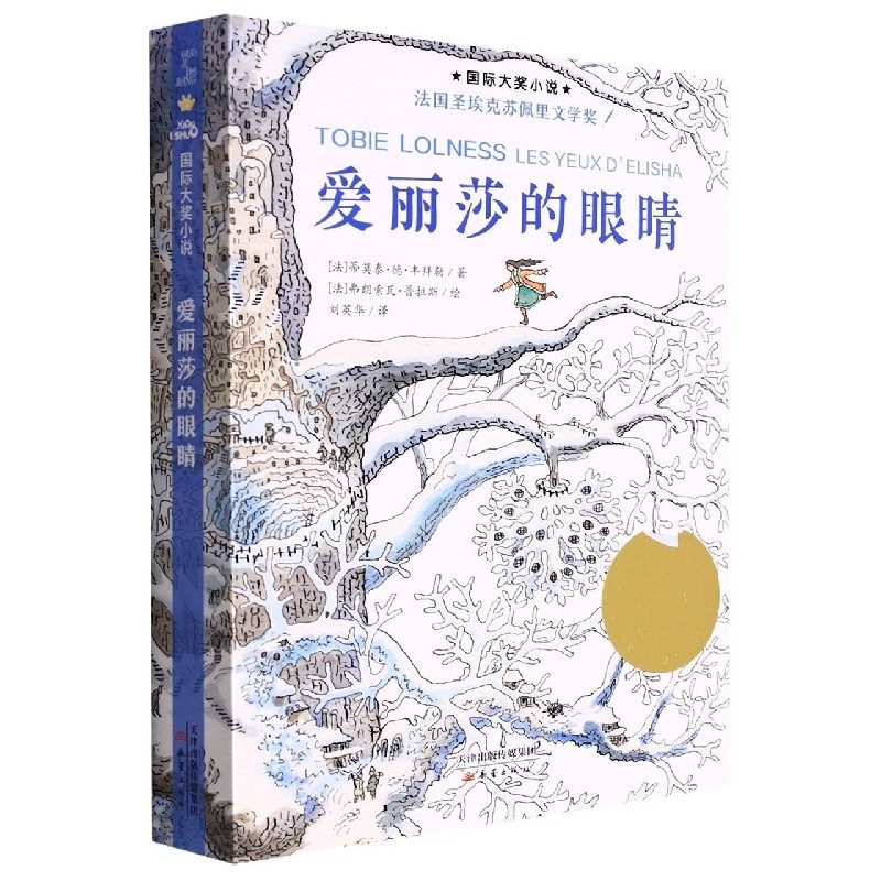 爱丽莎的眼睛国际大奖小说