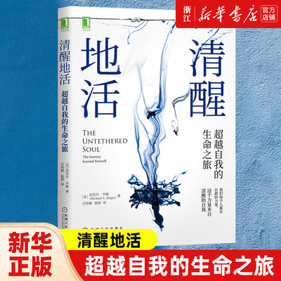 清醒地活 超越自我的生命之旅 迈克-A辛格 冥想大师探索内心认识自我内在心灵成长阻碍觉察清醒的自我 正念 冥想自我心理学书