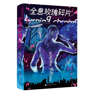 正版现货 全息玫瑰碎片 威廉 吉布森短篇杰作外国小说 其科幻创作的处女作到《神经浪游者》的萌芽之作均收录其中 科学幻想小说
