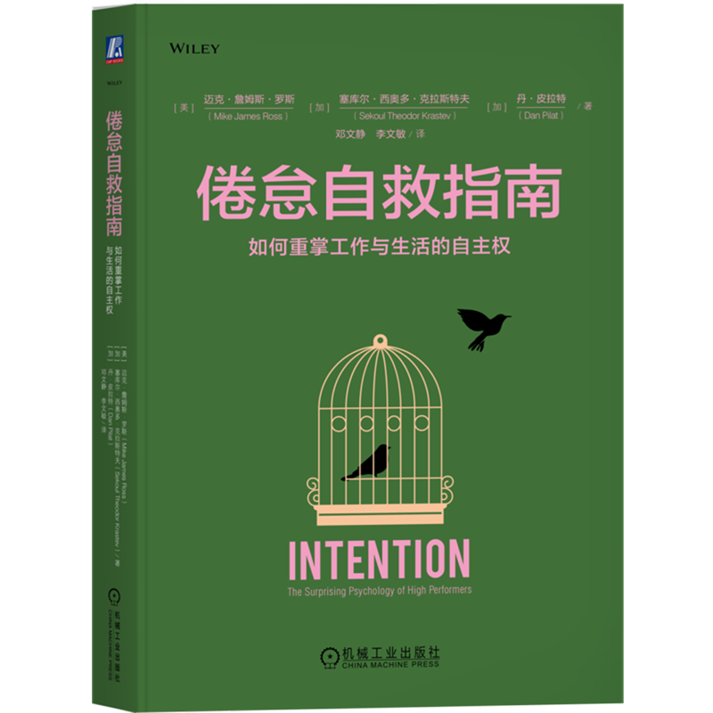倦怠自救指南 如何重掌工作与生活的自主权 迈克 詹姆斯 罗斯 摆脱依赖 拖延 迷茫 缺乏动力 励志成功自我调节书籍