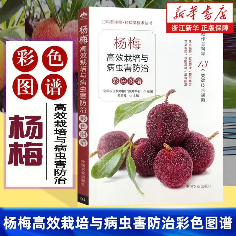 杨梅高效栽培与病虫害防治彩色图谱