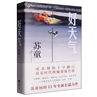 【2025豆瓣年度书单】好天气丨苏童作品
