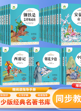 爱德教育 青少版经典名著书库系列 海底两万里 钢铁是怎样炼成的 安徒生童话 小学生三四五六年级课外阅读书籍 中学初中生名著小说